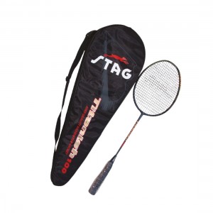 BADMINTON RACKET TITANISH - 100